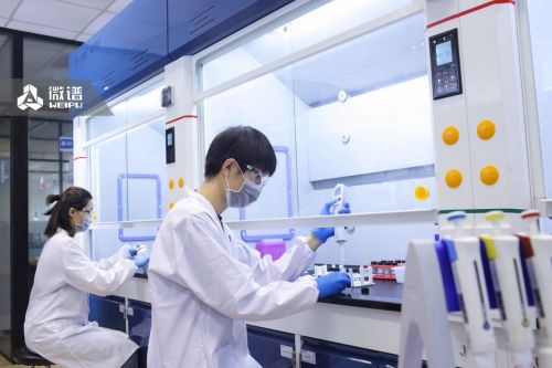 微譜科技 以數據智能驅動教學設備研發，助力國產PD-1新藥獲批上市